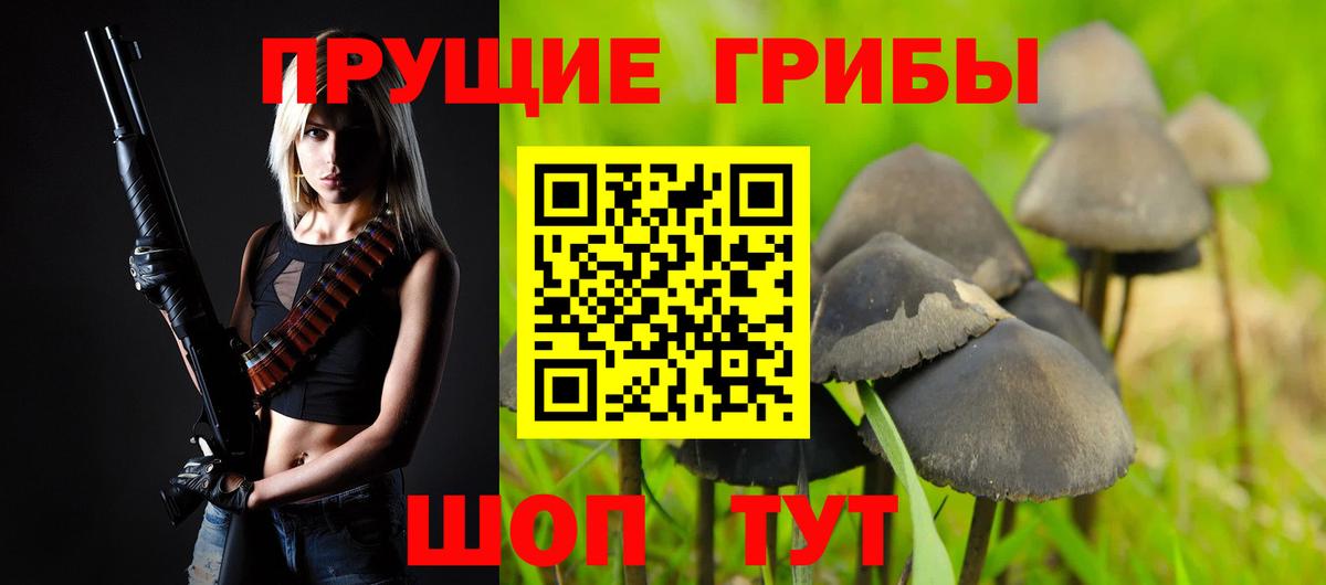 Псилоцибиновые грибы мицелий Сорочинск